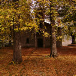 4109986453_12e23a6fda_o